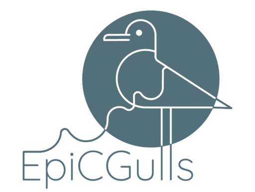 EpiCGulls